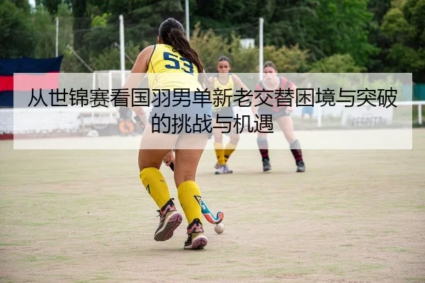 从世锦赛看国羽男单新老交替困境与突破的挑战与机遇